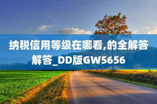 纳税信用等级在哪看,的全解答解答_DD版GW5656