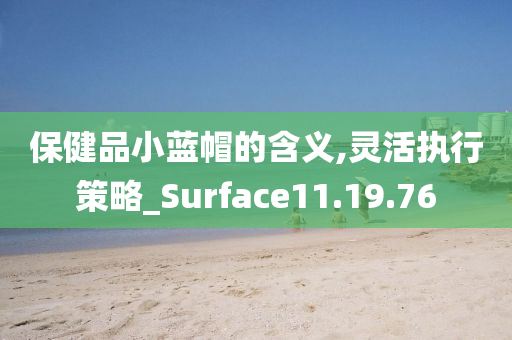 保健品小蓝帽的含义,灵活执行策略_Surface11.19.76