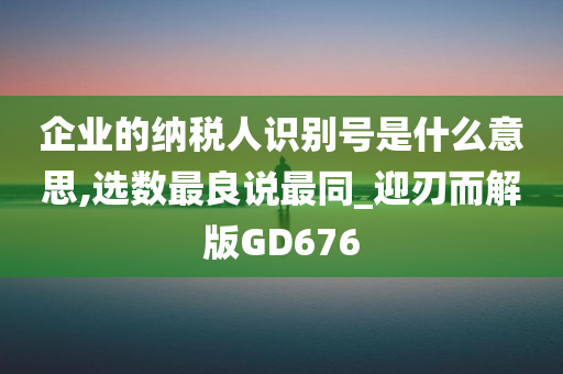 企业的纳税人识别号是什么意思,选数最良说最同_迎刃而解版GD676