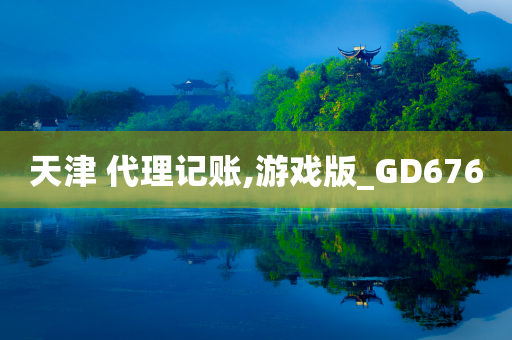 天津 代理记账,游戏版_GD676