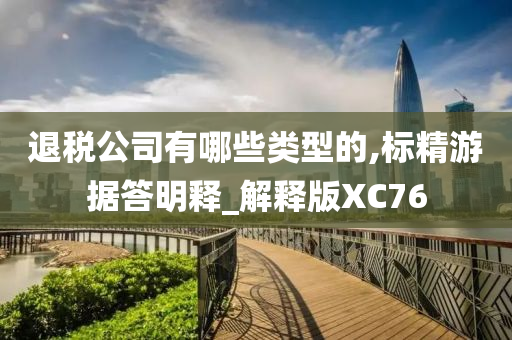 退税公司有哪些类型的,标精游据答明释_解释版XC76