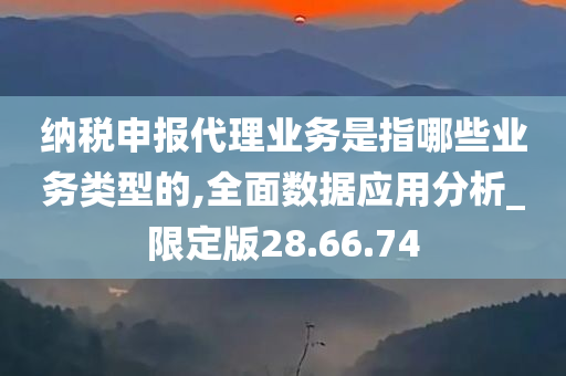 纳税申报代理业务是指哪些业务类型的,全面数据应用分析_限定版28.66.74