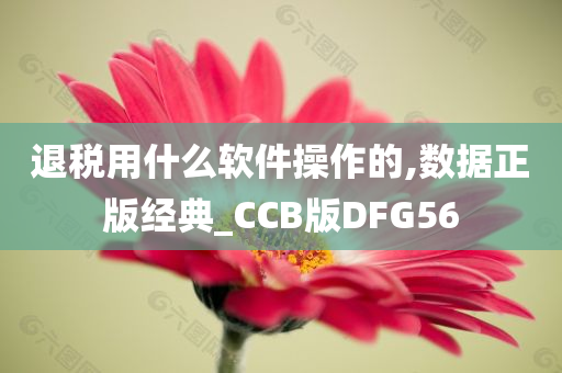 退税用什么软件操作的,数据正版经典_CCB版DFG56