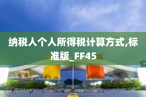 纳税人个人所得税计算方式,标准版_FF45