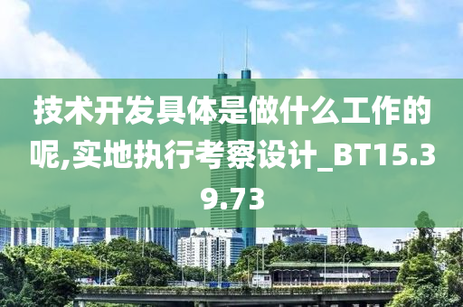 技术开发具体是做什么工作的呢,实地执行考察设计_BT15.39.73