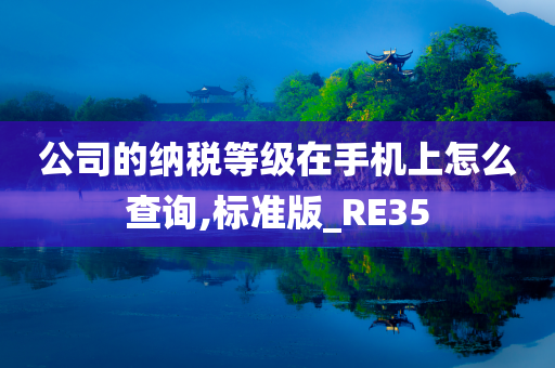 公司的纳税等级在手机上怎么查询,标准版_RE35