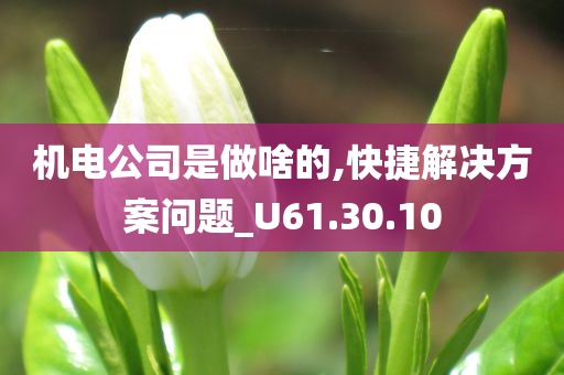 机电公司是做啥的,快捷解决方案问题_U61.30.10