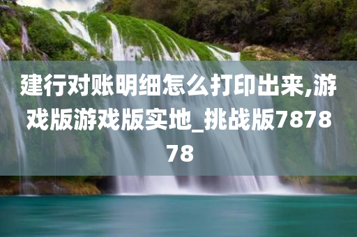 建行对账明细怎么打印出来,游戏版游戏版实地_挑战版787878