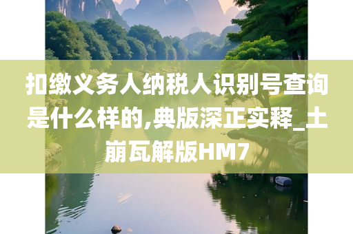 扣缴义务人纳税人识别号查询是什么样的,典版深正实释_土崩瓦解版HM7