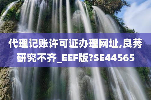 代理记账许可证办理网址,良莠研究不齐_EEF版?SE44565