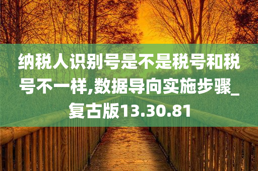 纳税人识别号是不是税号和税号不一样,数据导向实施步骤_复古版13.30.81