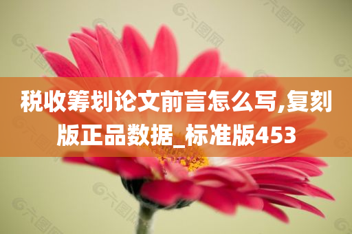 税收筹划论文前言怎么写,复刻版正品数据_标准版453