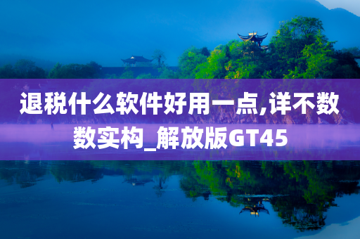 退税什么软件好用一点,详不数数实构_解放版GT45