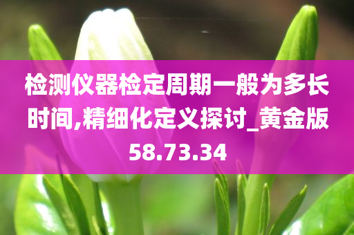 检测仪器检定周期一般为多长时间,精细化定义探讨_黄金版58.73.34