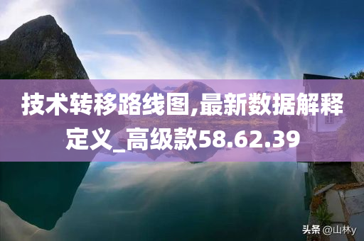 技术转移路线图,最新数据解释定义_高级款58.62.39