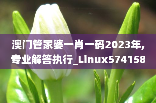 澳门管家婆一肖一码2023年,专业解答执行_Linux574158