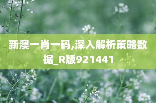 新澳一肖一码,深入解析策略数据_R版921441