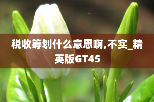 税收筹划什么意思啊,不实_精英版GT45