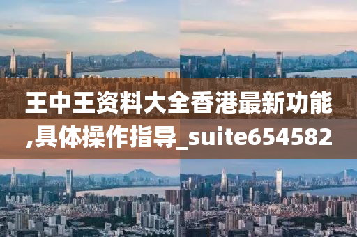 王中王资料大全香港最新功能,具体操作指导_suite654582