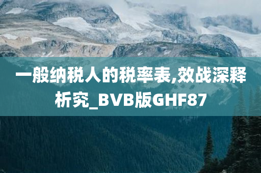 一般纳税人的税率表,效战深释析究_BVB版GHF87