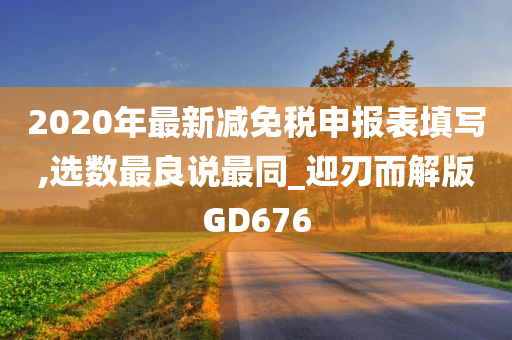 2020年最新减免税申报表填写,选数最良说最同_迎刃而解版GD676