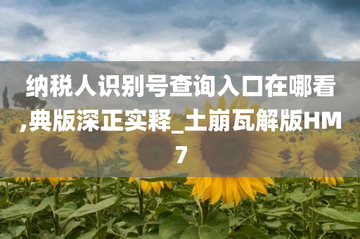 纳税人识别号查询入口在哪看,典版深正实释_土崩瓦解版HM7