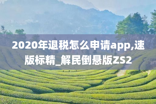 2020年退税怎么申请app,速版标精_解民倒悬版ZS2