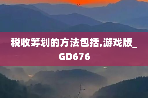 税收筹划的方法包括,游戏版_GD676