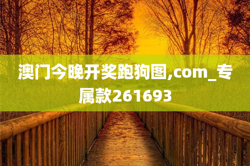 澳门今晚开奖跑狗图,com_专属款261693