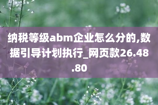 纳税等级abm企业怎么分的,数据引导计划执行_网页款26.48.80