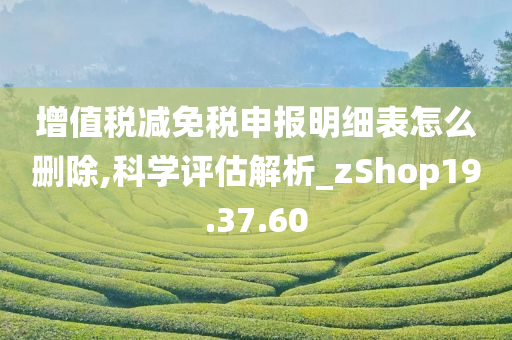 增值税减免税申报明细表怎么删除,科学评估解析_zShop19.37.60