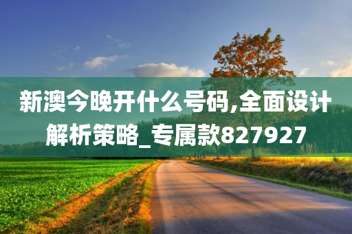 新澳今晚开什么号码,全面设计解析策略_专属款827927