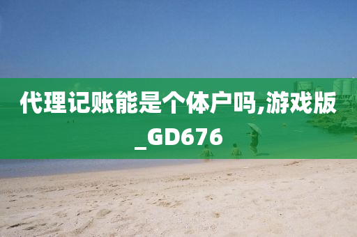 代理记账能是个体户吗,游戏版_GD676