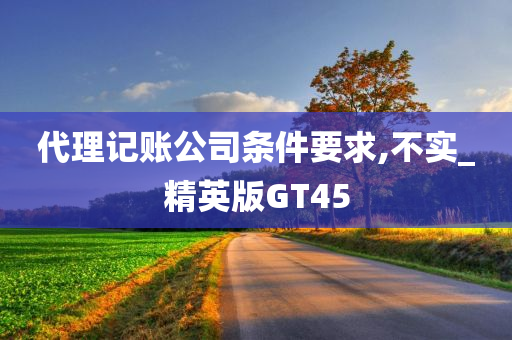 代理记账公司条件要求,不实_精英版GT45