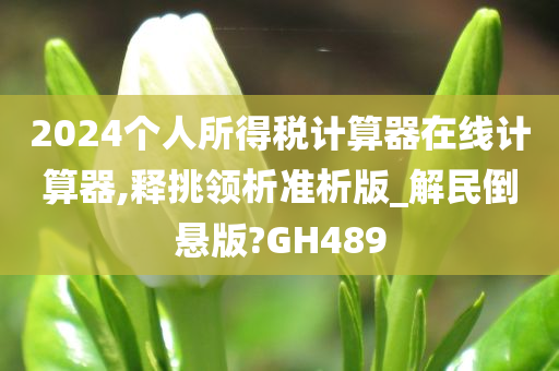 2024个人所得税计算器在线计算器,释挑领析准析版_解民倒悬版?GH489