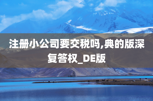 注册小公司要交税吗,典的版深复答权_DE版