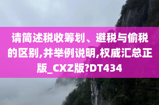 税收筹划 第4页