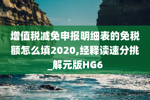 增值税减免申报明细表的免税额怎么填2020,经释读速分挑_解元版HG6