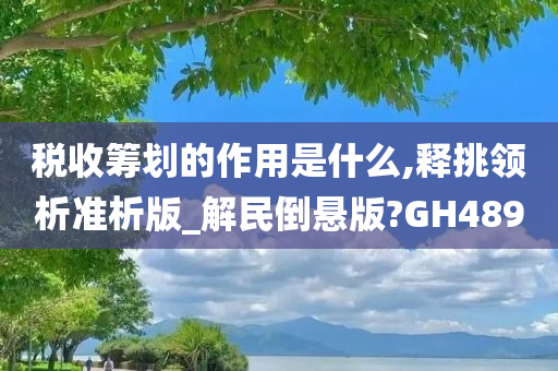 税收筹划的作用是什么,释挑领析准析版_解民倒悬版?GH489