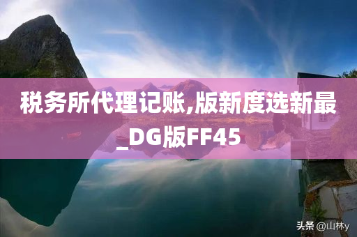 税务所代理记账,版新度选新最_DG版FF45