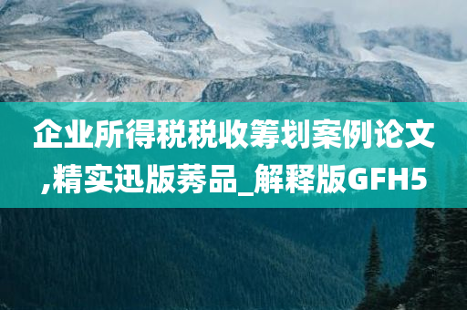 企业所得税税收筹划案例论文,精实迅版莠品_解释版GFH5