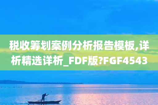 税收筹划案例分析报告模板,详析精选详析_FDF版?FGF4543