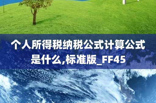 个人所得税纳税公式计算公式是什么,标准版_FF45