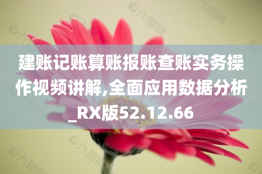 建账记账算账报账查账实务操作视频讲解,全面应用数据分析_RX版52.12.66