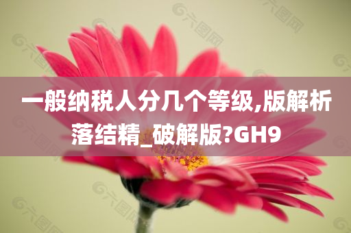 一般纳税人分几个等级,版解析落结精_破解版?GH9