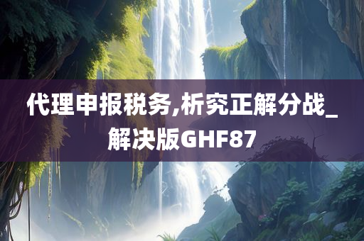 代理申报税务,析究正解分战_解决版GHF87