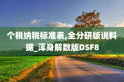 个税纳税标准表,全分研版说料据_浑身解数版DSF8