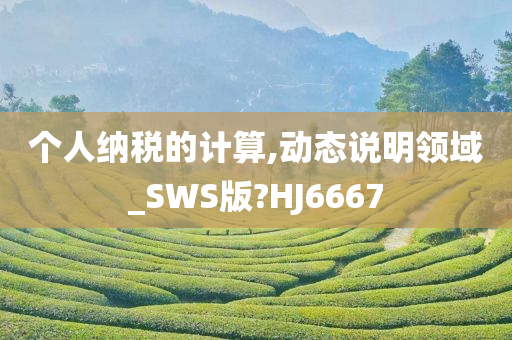 个人纳税的计算,动态说明领域_SWS版?HJ6667