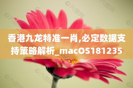 香港九龙特准一肖,必定数据支持策略解析_macOS181235