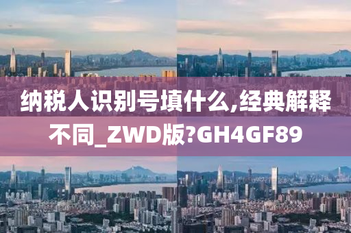 纳税人识别号填什么,经典解释不同_ZWD版?GH4GF89